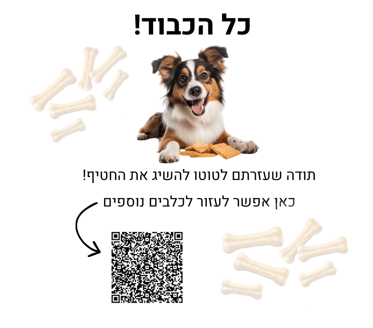 חידוש של חדר בריחה על כלבים - טוטו וחבריו