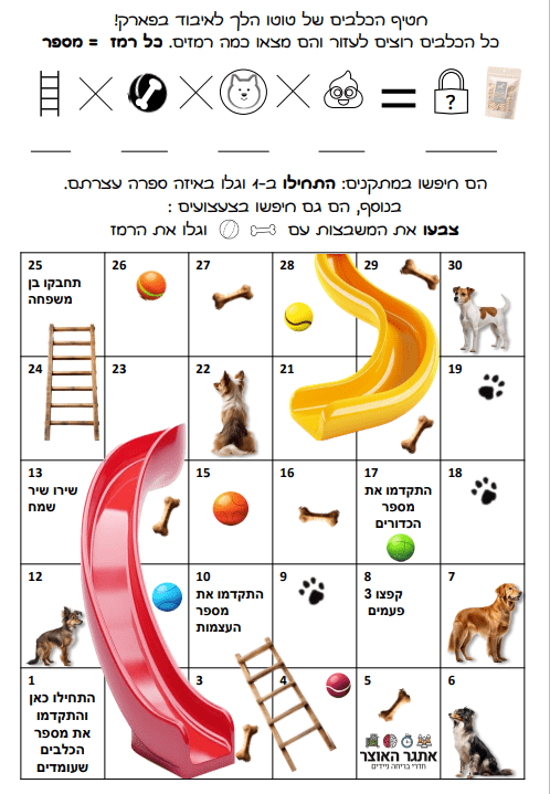 צילום מסך 2024-06-05 121820