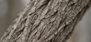 משחק לילדים בגינה