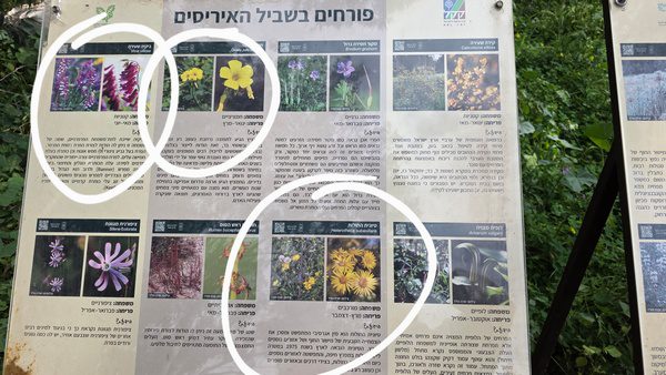 משחק חידות בטיול