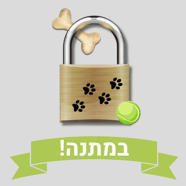 טוטו וחבריו - חדר בריחה ביתי להדפסה בחינם